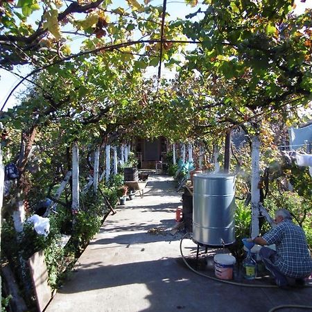 Florians Guesthouse Shkoder Ngoại thất bức ảnh