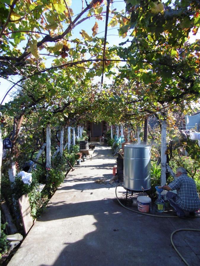 Florians Guesthouse Shkoder Ngoại thất bức ảnh