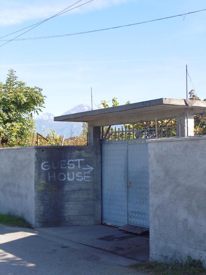 Florians Guesthouse Shkoder Ngoại thất bức ảnh